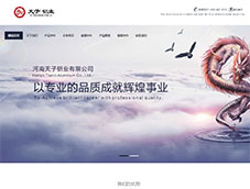 ���������X�I(y��)���޹�˾